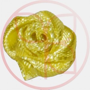 0037-8011