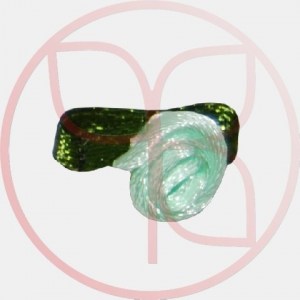 0039-3030
