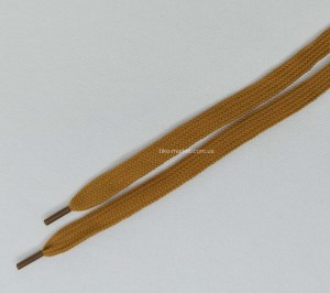 shoelace028