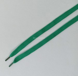 shoelace030