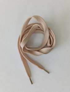 shoelace033