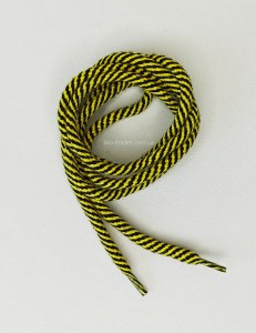 shoelace041