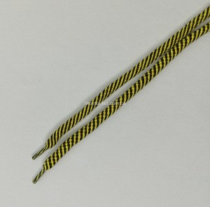shoelace042