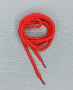 shoelace015