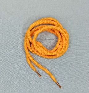 shoelace019
