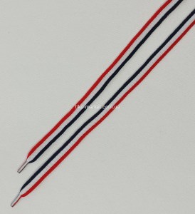 shoelace059