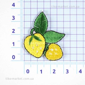 aplication-textile-2019-0411-0157-002