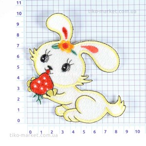 aplication-textile-2019-0411-0244