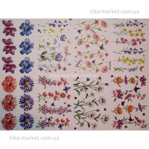 thermo-stickers-073