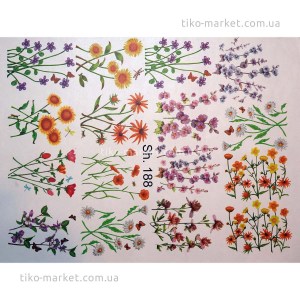 thermo-stickers-080