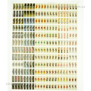 thermo-stickers-166