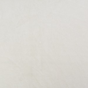 vil10221